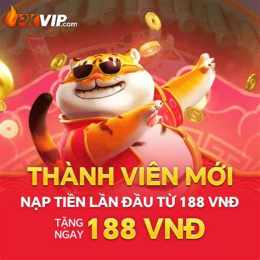 giao diện app dự đoán thần tài xổ số miền bắc