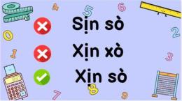 giao diện app sịn sò hay xịn xò