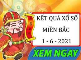 giao diện app sổ xố niềm bắc