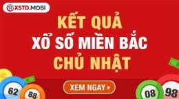 giao diện app thống kê xổ số miền bắc chủ nhật