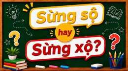 hướng dẫn sử dụng đồ sộ hay đồ xộ