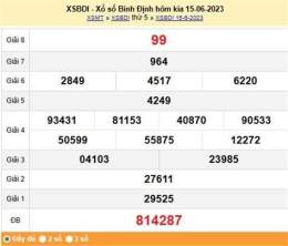 hướng dẫn sử dụng dự đoán xổ số bình định 568