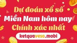 hướng dẫn sử dụng dự đoán xổ số mobi miền nam