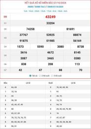 hướng dẫn sử dụng kết quả xổ số 2024
