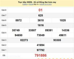 hướng dẫn sử dụng kết quả xổ số đồng nai ngày 25 tháng 03