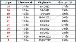 hướng dẫn sử dụng kết quả xổ số gia lai ngày 13 tháng 2