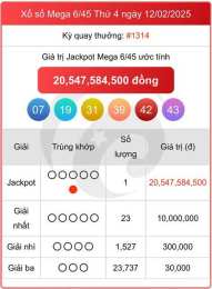 hướng dẫn sử dụng kết quả xổ số mega minh ngọc