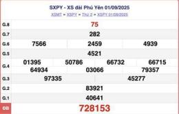 hướng dẫn sử dụng quả xổ số phú yên hôm nay