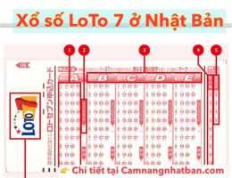 hướng dẫn sử dụng xổ số 17 tây tháng 7