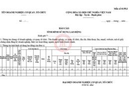 hướng dẫn sử dụng xổ số 2 tháng 12