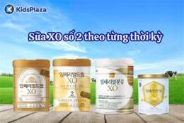 hướng dẫn sử dụng xo so 2/1
