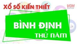 hướng dẫn sử dụng xổ số bình định ngày 26