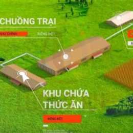 khu chăn nuôi xổ số miền bắc