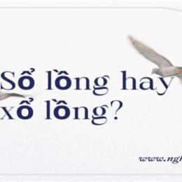 sổ lồng hay xổ lồng