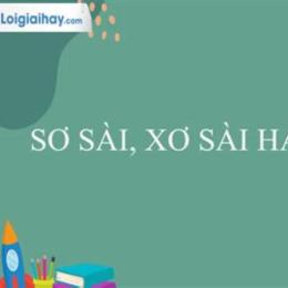 sơ xài hay xơ sài