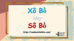 tính năng nổi bật cuộc sống xô bồ hay sô bồ