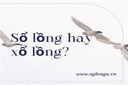 tính năng nổi bật sổ lồng hay xổ lồng