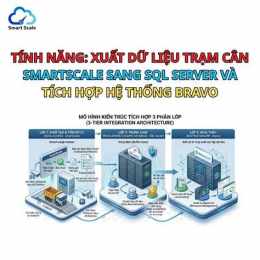 tính năng nổi bật số xổ mtr