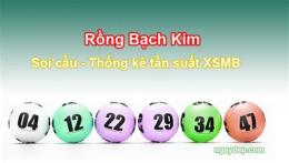tính năng nổi bật soi cầu xổ số bạch kim