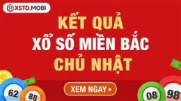 tính năng nổi bật xem xổ số miền bắc chủ nhật tuần rồi