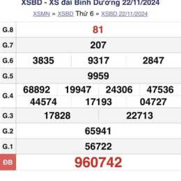 xổ số bình dương ngày 29
